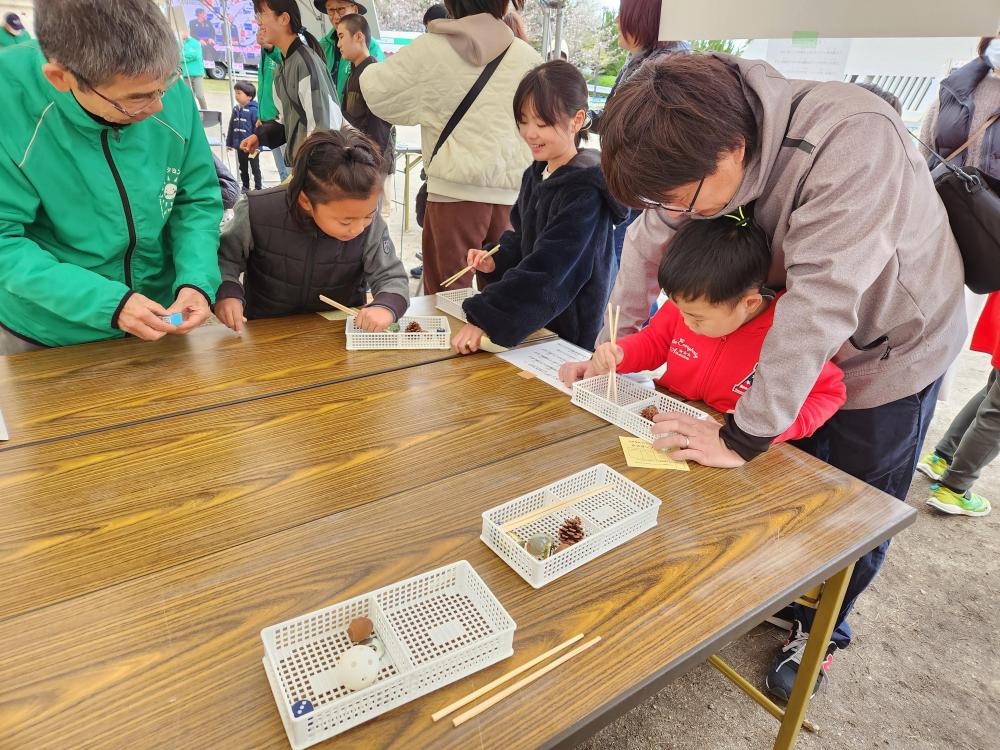 25-03-30どんぐりコロコロ