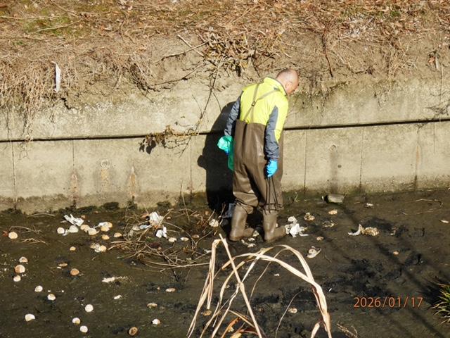 IMG_1951 投入されたEMダンゴを踏込み