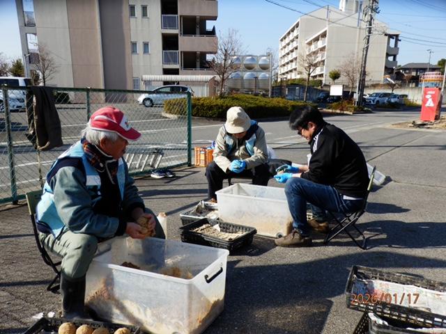 IMG_1954 次回用EMダンゴを握る