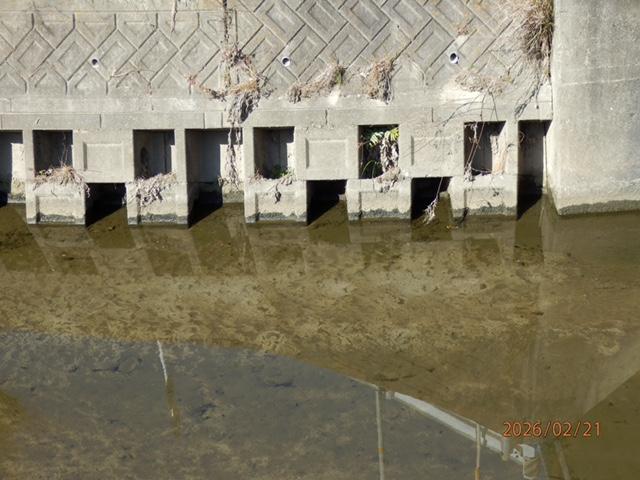 IMG_1964 定点観測点(水位は低く、澄んでいるがやや暖かく、臭いがしていた)