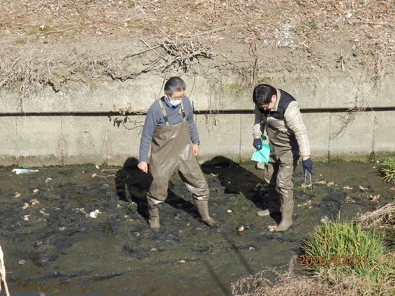 IMG_1965 投入したEMだんごをヘドロへ踏込み