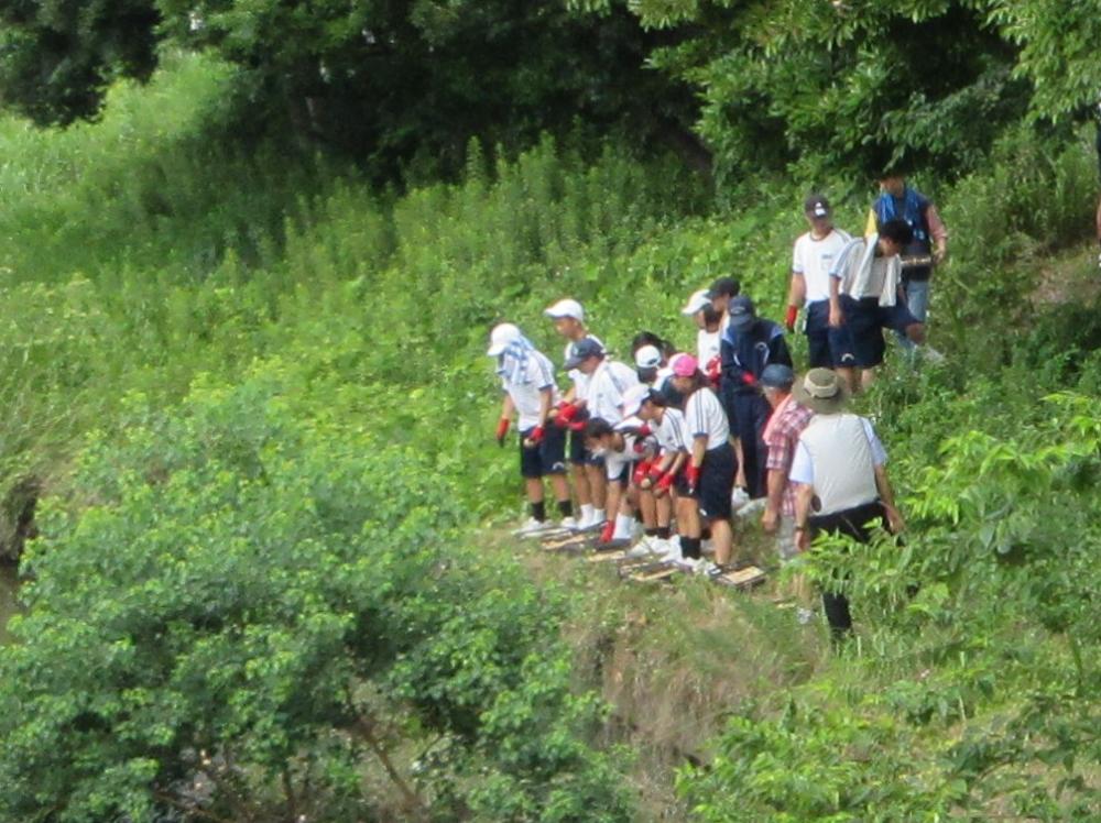 IMG_3370-2　みんなで発酵乾燥EMダンゴを川中のヘドロへ投入