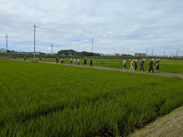 2.田園風景を楽しみながらのウォーキング