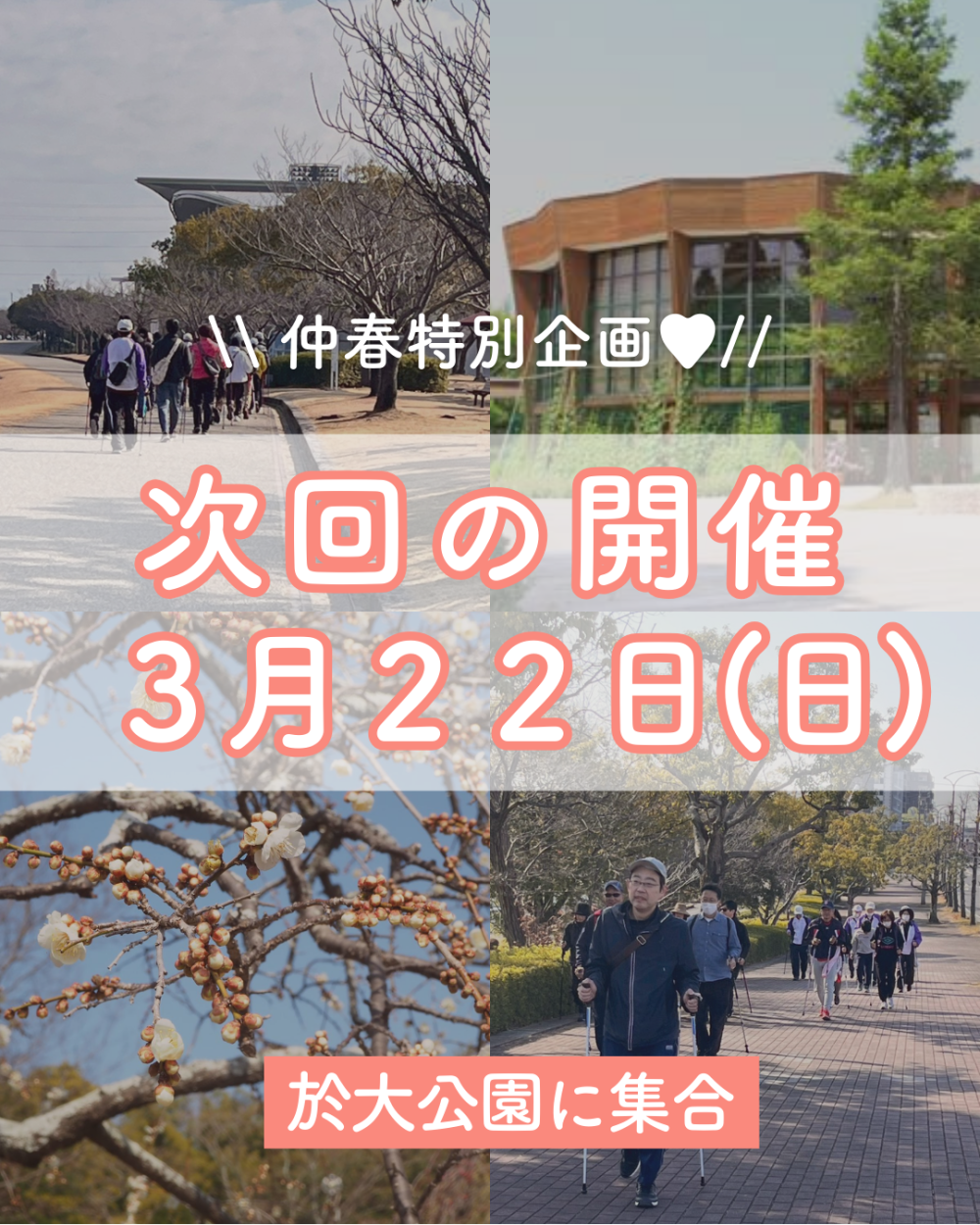 ノルディックウォーク青山公園2