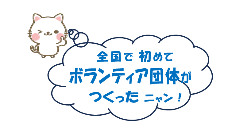 画像４